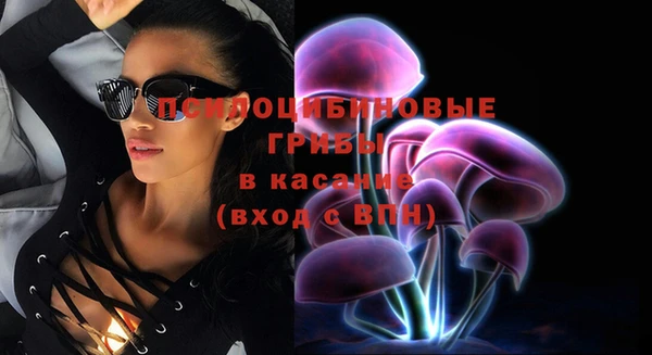 эйфоретик Баксан