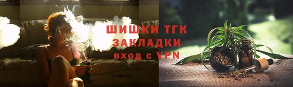 МДПВ Инсар