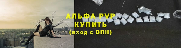 эйфоретик Баксан