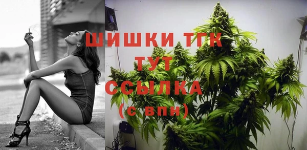 эйфоретик Баксан