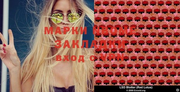 эйфоретик Баксан
